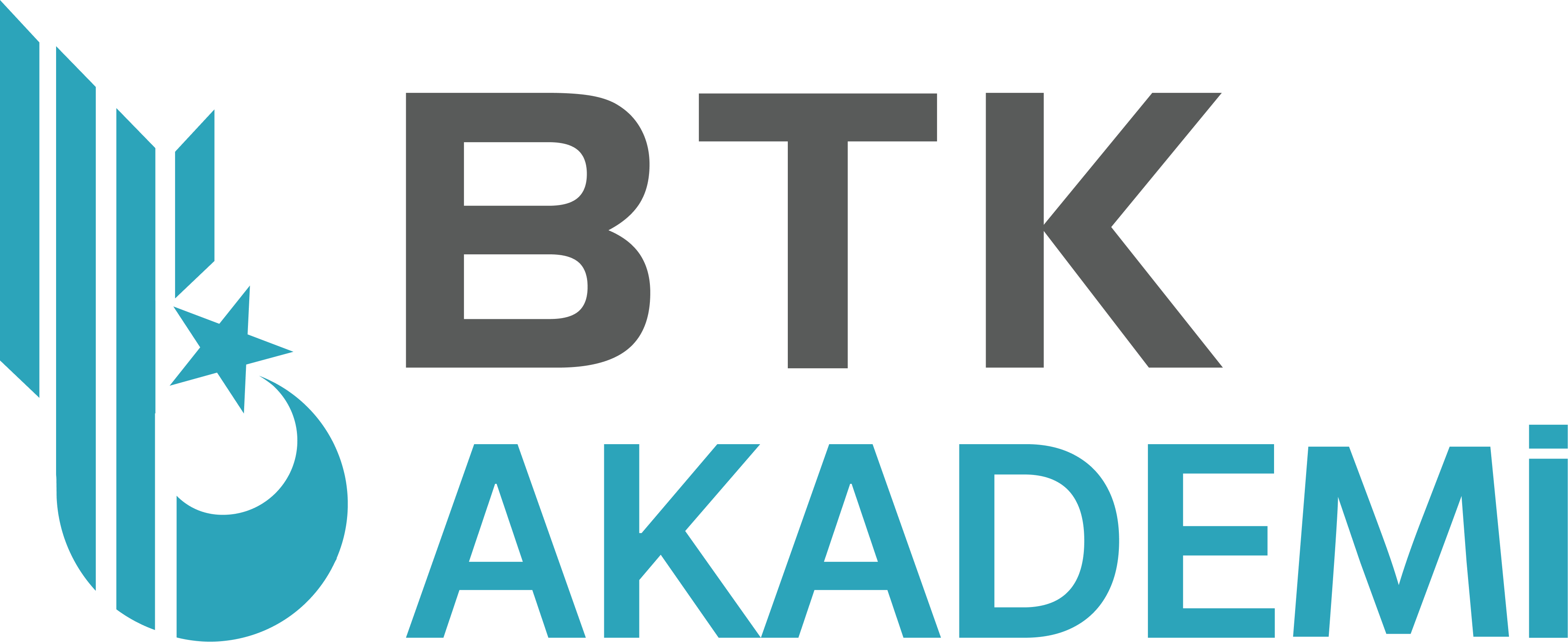 BTK Akademi